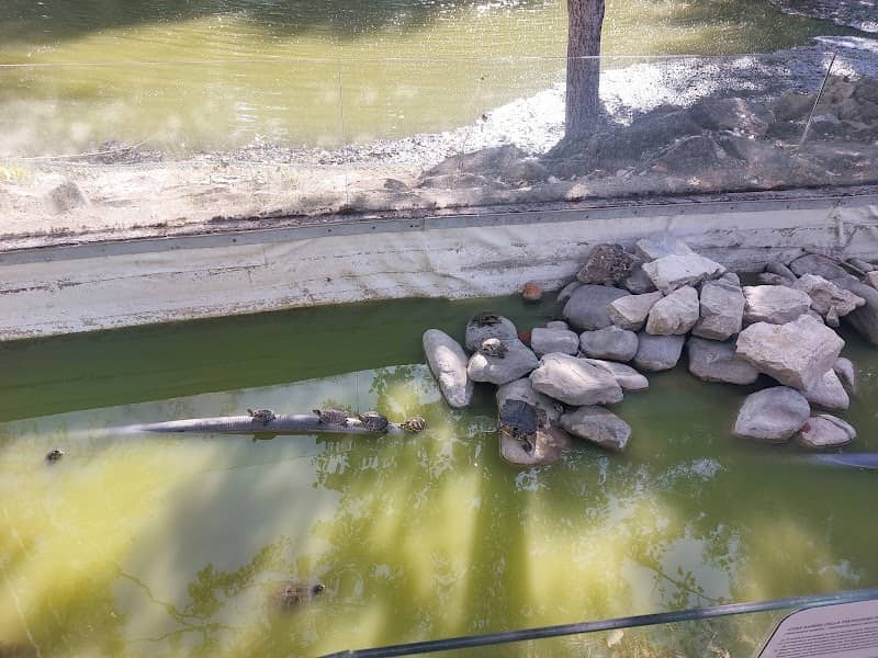 Laghetti del Parco della Resistenza - Image 2