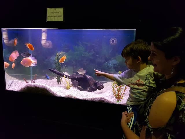 Campinas Municipal Aquarium - Image 1