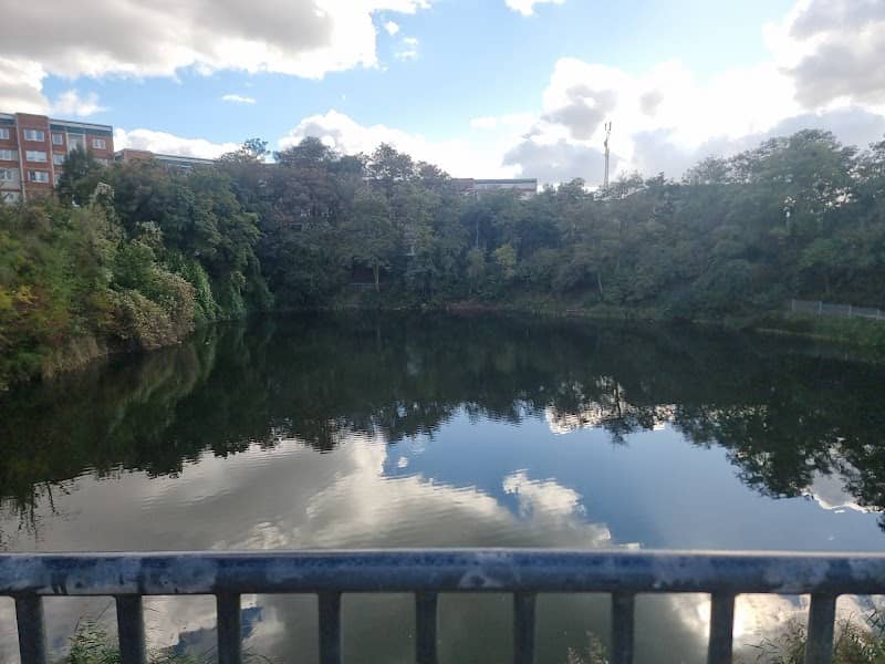 Sternsee - Image 1
