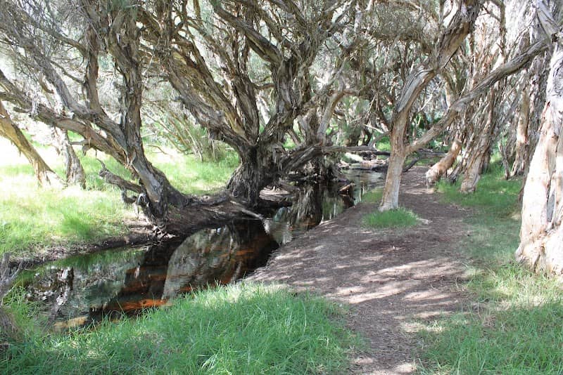 Yellagonga Regional Park - Image 3