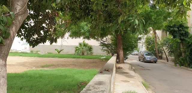 Park 4 Grand City - Image 1