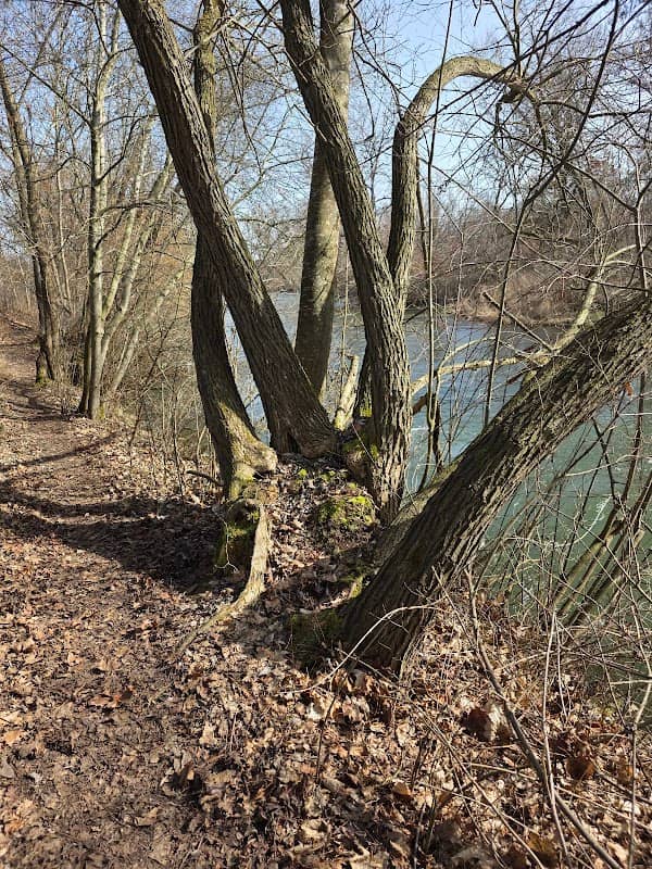 Zusammenfluss Amper und Mühlbach - Image 1