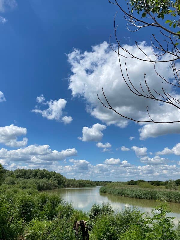 Siret river view - Image 1