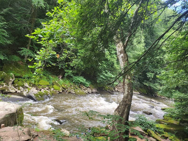 Kildoo Falls - Image 1