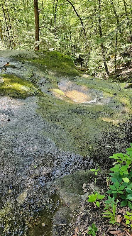 Kildoo Falls - Image 2