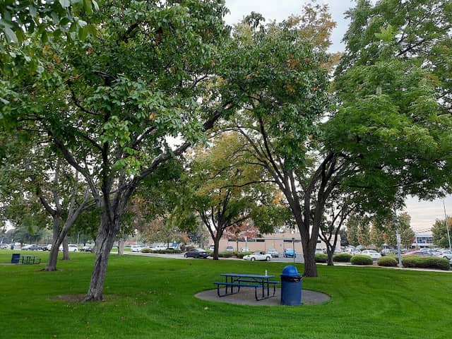 Keewaydin Park - Image 3