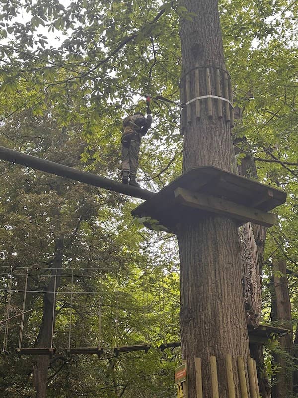 Go Ape Leeds Castle - Image 2