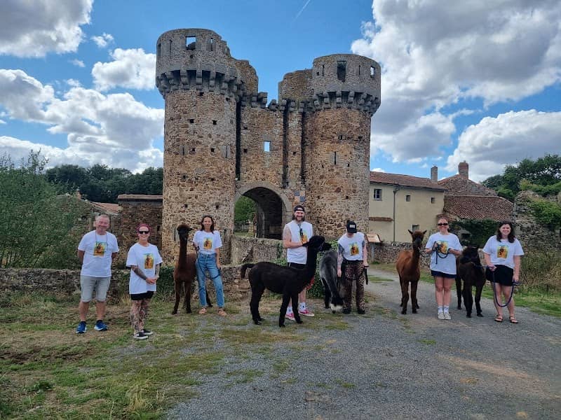 La Petite Ferme d'Alpagas Sanzay (Alpaca farm) - Image 2