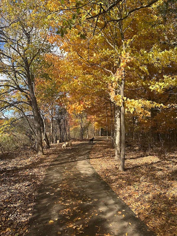 Kains Woods ESA - Image 2