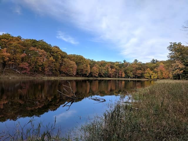 Loon Lake Wildlife Area - Image 1