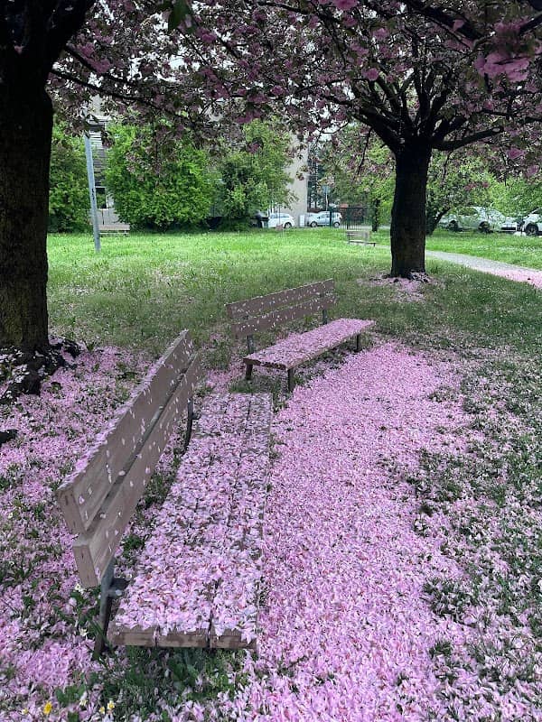 Multa Park - Image 1