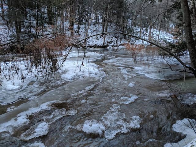 Messimer Preserve - Image 1