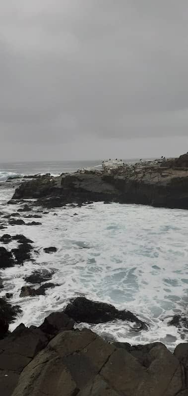 Los molles - Image 1