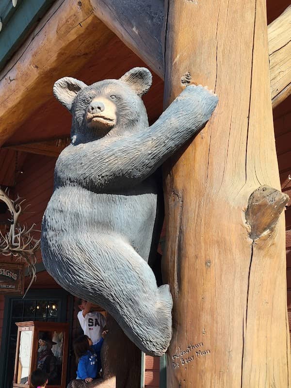 Bear Cub climbing a post - Image 1
