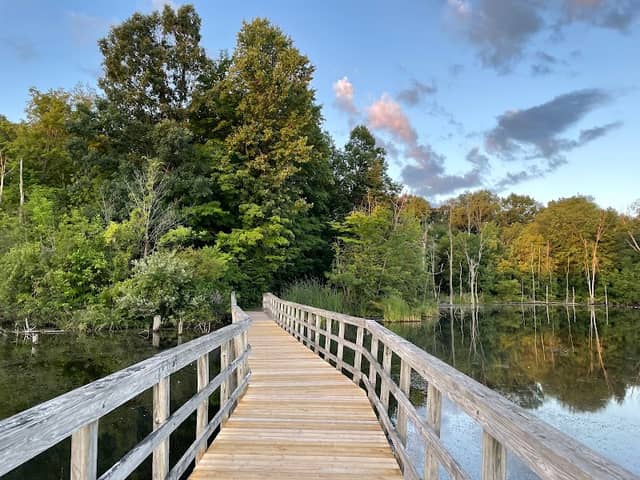 Rowden Park - Image 2