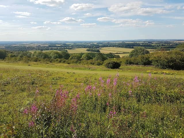 National Trust - Watlington Hill - Image 2