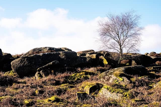 National Trust - Longshaw - Image 3
