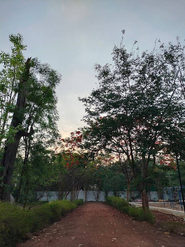 Joggers Park - Image 1