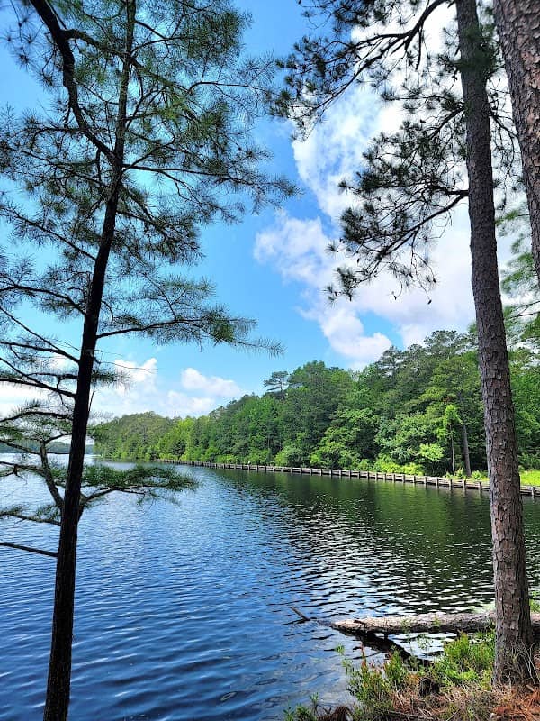 Cheraw State Park Beach - Image 1