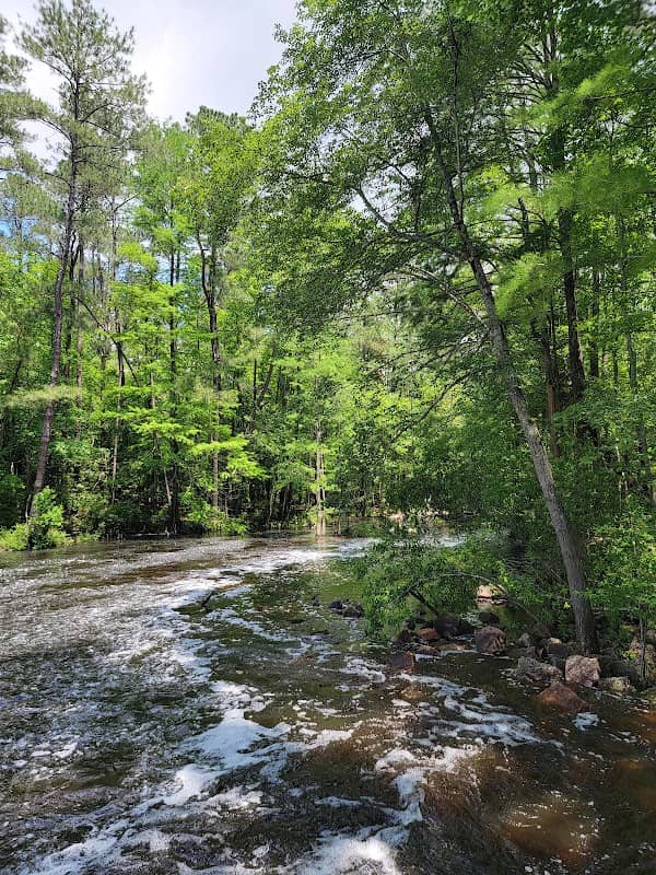 Cheraw State Park Beach - Image 2