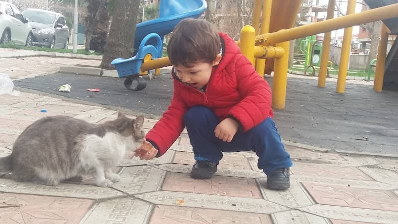 Child park - Image 1