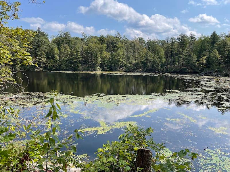 Pelton Pond - Fahnestock State Park - Image 1