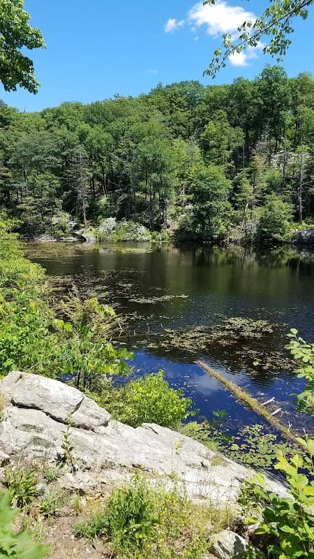 Pelton Pond - Fahnestock State Park - Image 2