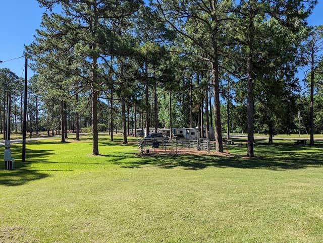 Ebenezer Park - Image 2