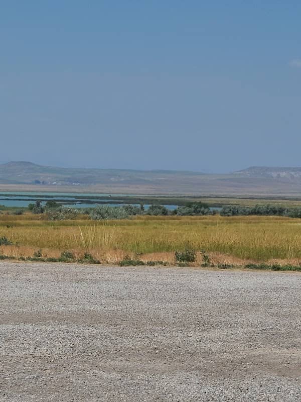 Freezout Lake Warden Sation - Image 1