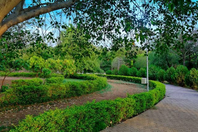 Punit Van, Gandhinagar - Image 2