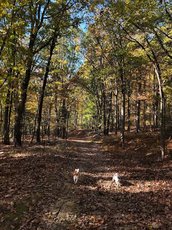 Gambrill State Park Trailhead - Image 1