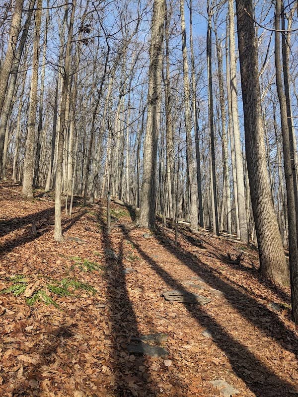 Gambrill State Park Trailhead - Image 2