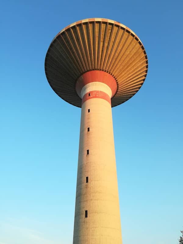 Il Fungo - Image 1