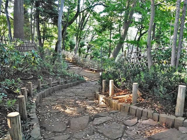 Togoshi Park - Image 3