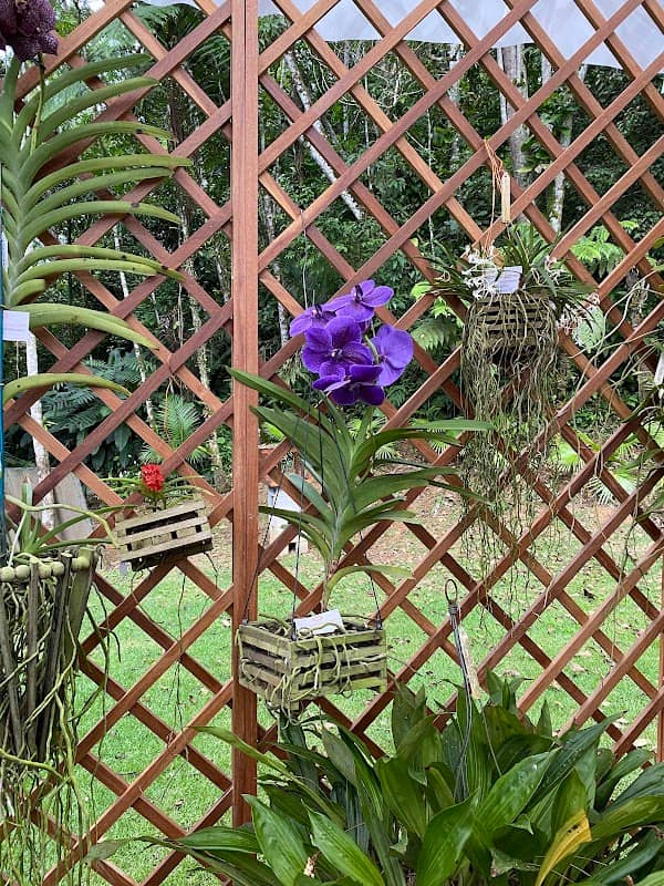Parque das Orquídeas Adalberto Schmalz - Image 3