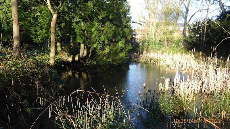 The Pond Highfield Park - Image 1