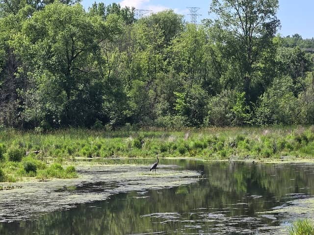 Valley View Park - Image 1