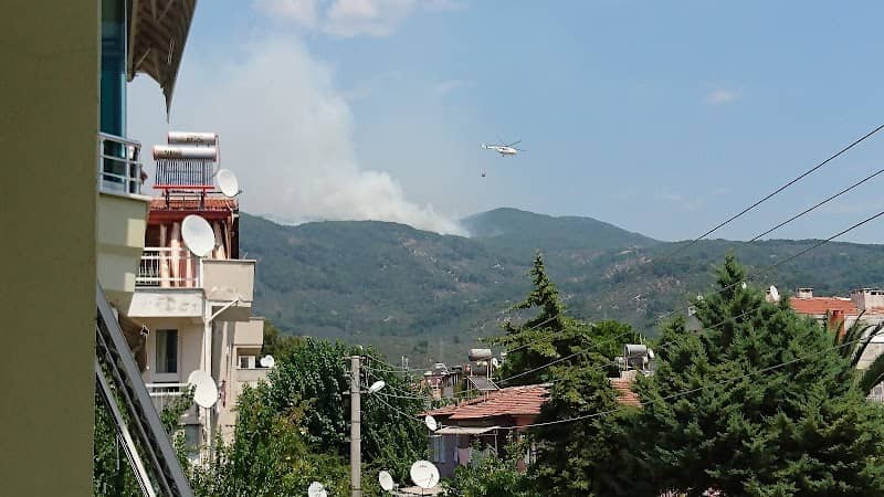 Yeşil Alan - Image 1