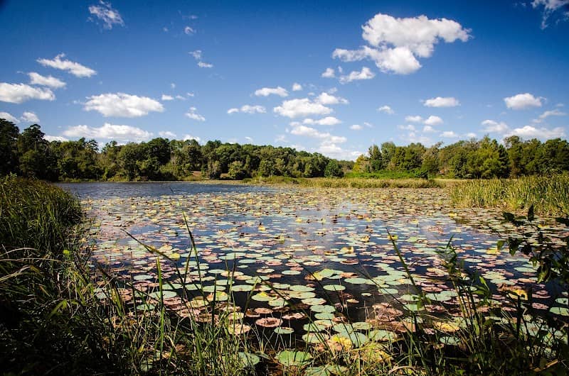 Rusk Park - Image 1