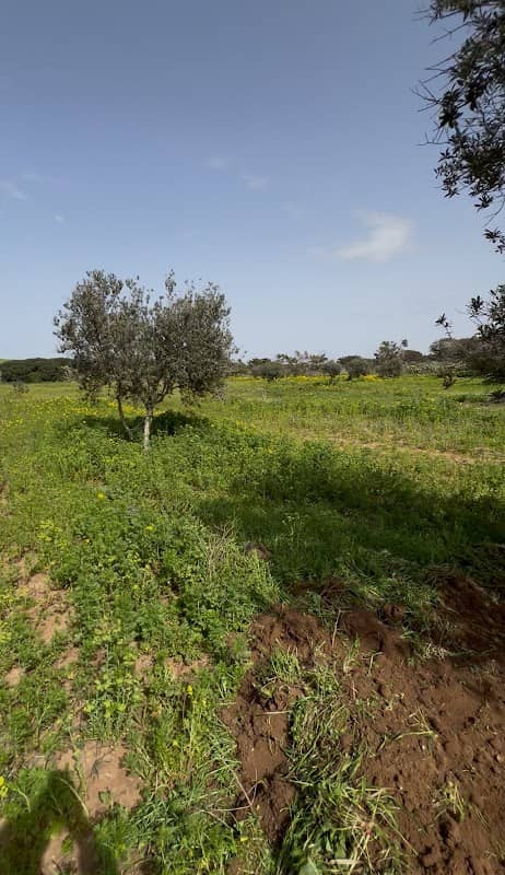 Ferme snoussi - Image 1