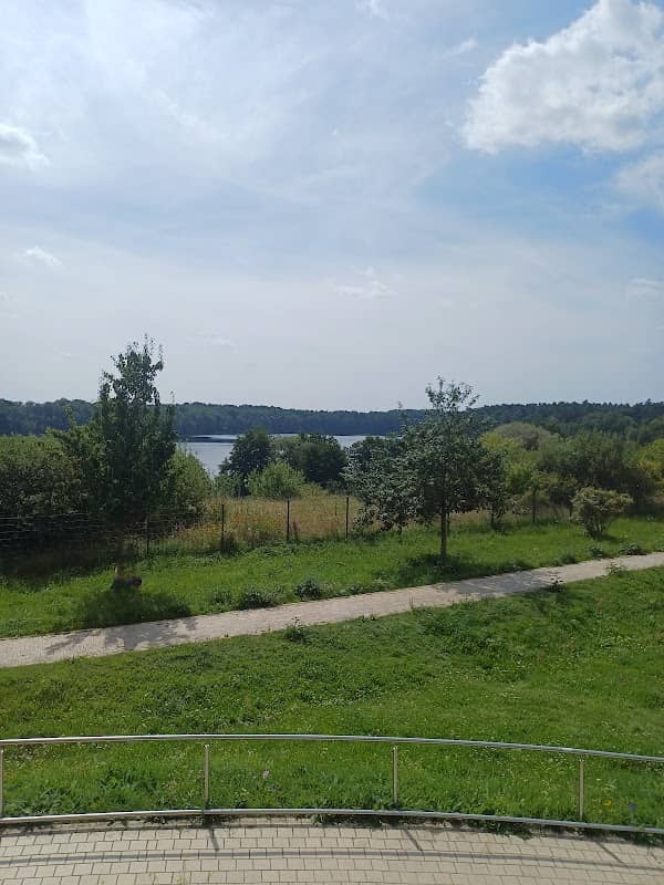 Park Buckowsee Ost - Image 1