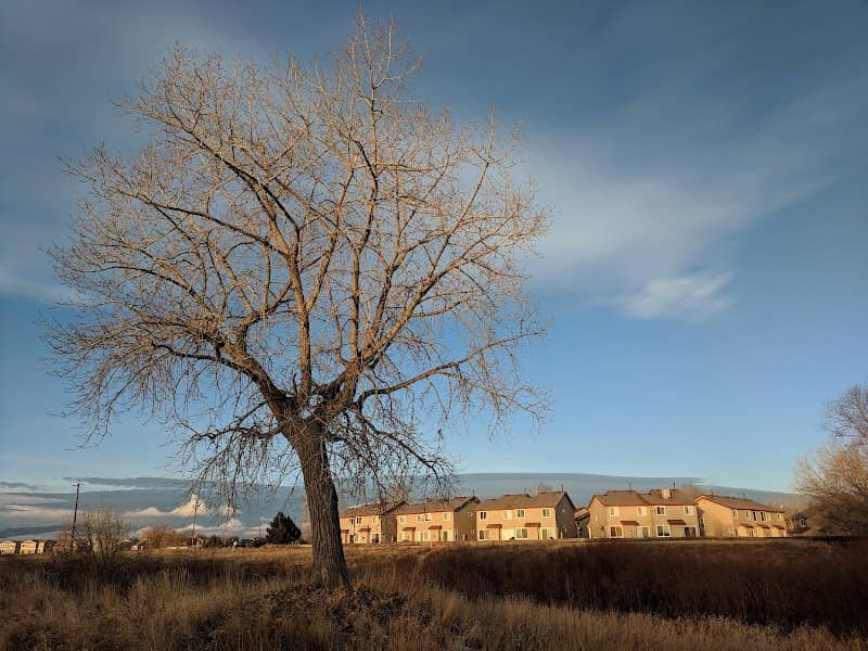 Grandview Montgomery Park - Image 1