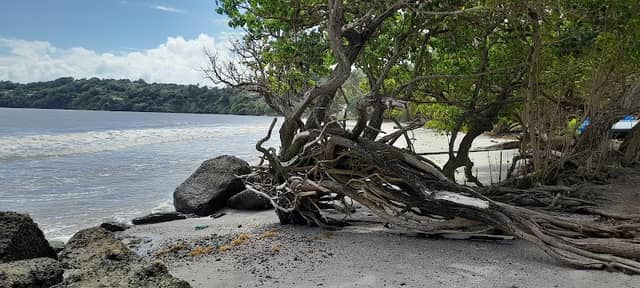 Plage de l'Anse Bélune - Image 2