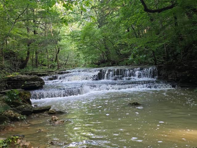 Pine Creek Nature Preserve - Image 1