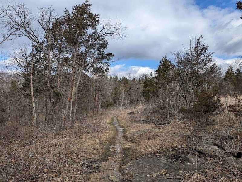 Pine Creek Nature Preserve - Image 2