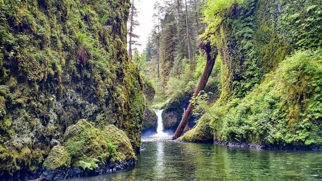 Eagle Creek Trailhead - Image 1