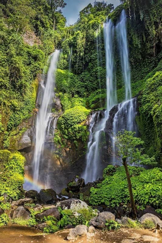 Sekumpul waterfall trekking entry point - Image 1