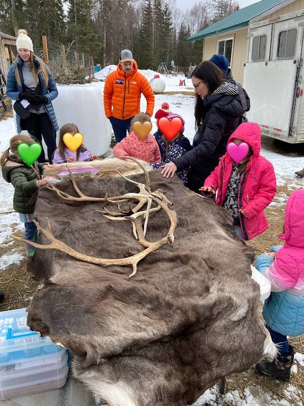 Kenai Reindeer Farm - Image 2