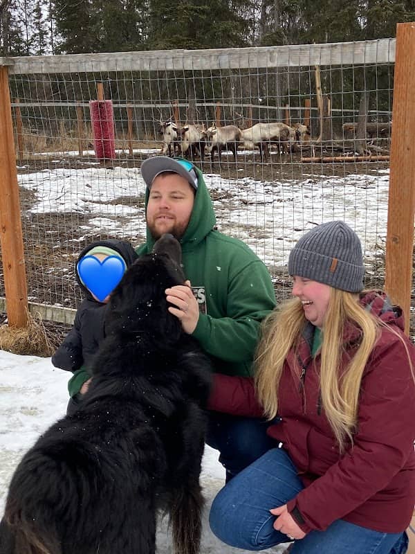 Kenai Reindeer Farm - Image 2