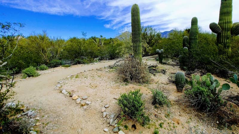 Tohono Chul-Desert Discovery Education Center - Image 1